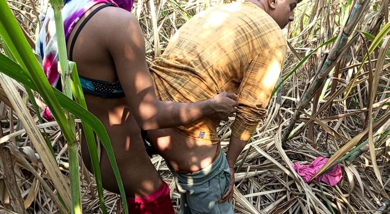 Indian Shemale – Two truck drivers and Shemale Pooja went to the Early this morning, sugarcane field Hard Fucking.